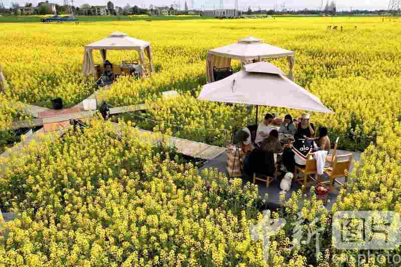  春日消费新风貌，体验升级带动文旅热潮。 文化旅游