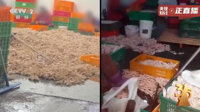  外泌体产业化深度剖析：300项临床试验背后的技术瓶颈与监管路径 新闻 外泌体产业化深度剖析：300项临床试验背后的技术瓶颈与监管路径 新闻
