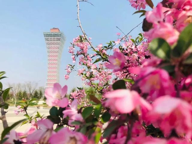  硬核拆解：咸阳春日四大主题线路的底层逻辑与实战价值 文化旅游 硬核拆解：咸阳春日四大主题线路的底层逻辑与实战价值 文化旅游
