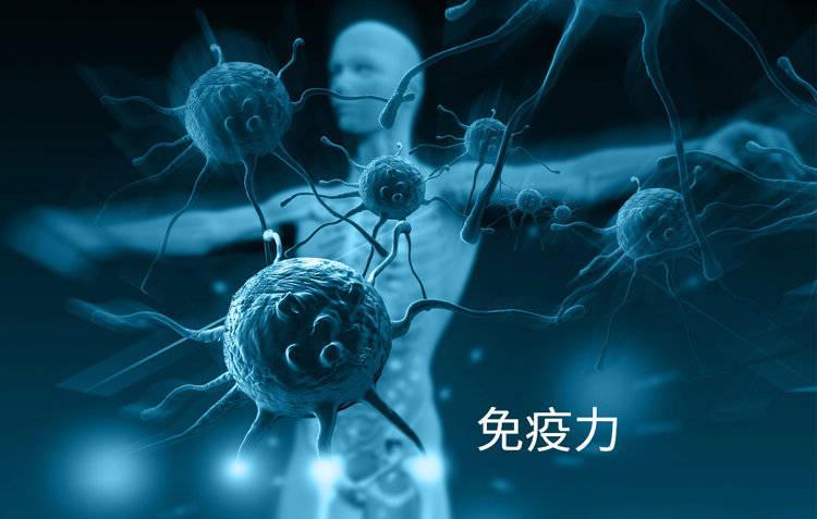 血型不是命运的判决书，而是身体在轻声告诉你什么 健康养生