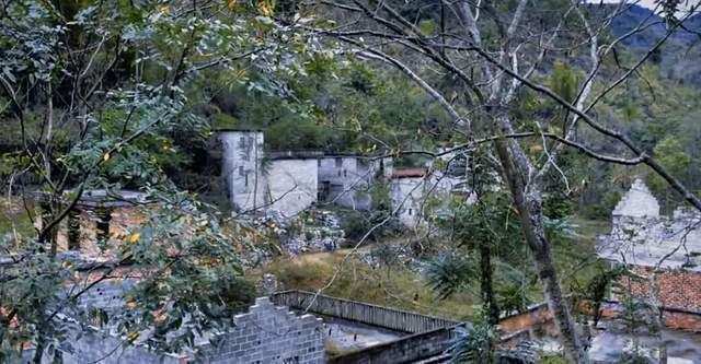  【地理探秘】深山无人村覆灭全记录：从500人聚落到自然演替的完整时间线 文化旅游