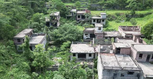  【地理探秘】深山无人村覆灭全记录：从500人聚落到自然演替的完整时间线 文化旅游