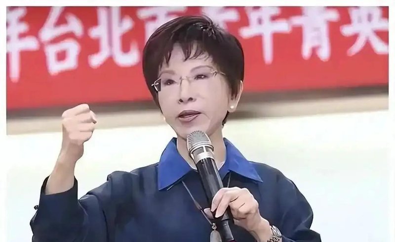  「两岸关系·深度解析」国民党新旧掌门同周访陆：政治身份约束下的策略分化与结构性博弈 新闻
