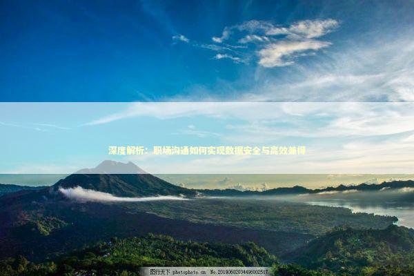 深度解析：职场沟通如何实现数据安全与高效兼得