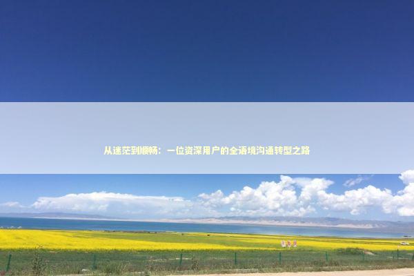 从迷茫到顺畅：一位资深用户的全语境沟通转型之路 IT技术