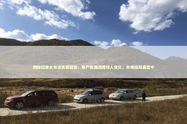 揭秘轻奢女包消费新趋势：用户数据透露惊人变化，市场格局重塑中 时尚用品