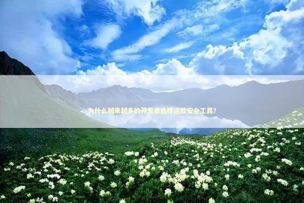 为什么越来越多的开发者选择这款安全工具？