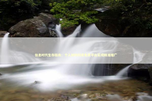 信息时代生存指南：个人如何利用免费平台实现精准推广
