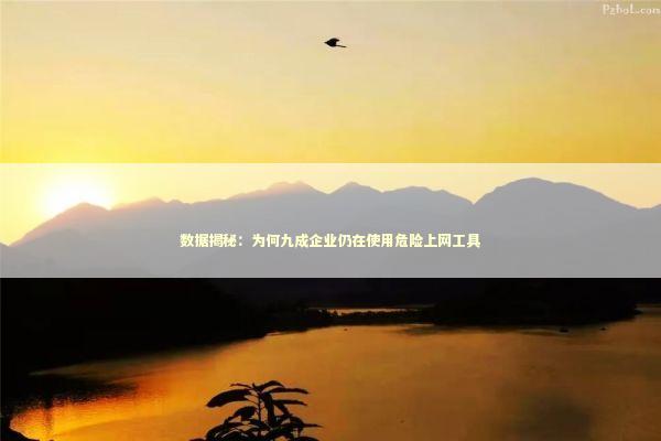 数据揭秘：为何九成企业仍在使用危险上网工具