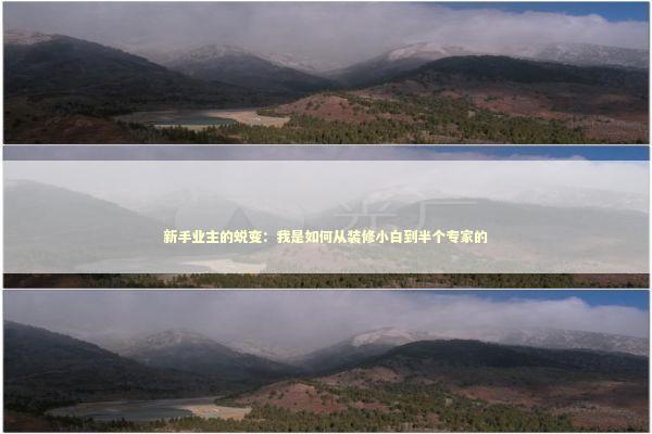 新手业主的蜕变：我是如何从装修小白到半个专家的 房产家居